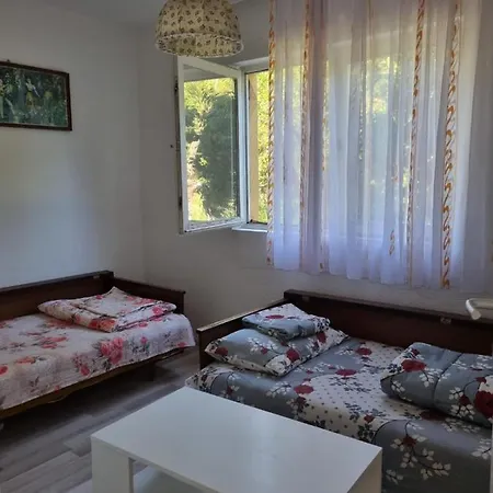 Nura Bihać