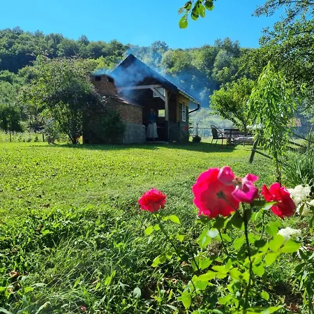 Nura Bihać
